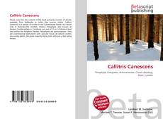 Callitris Canescens的封面