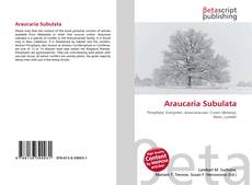 Обложка Araucaria Subulata
