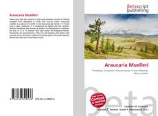 Araucaria Muelleri的封面
