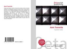 Amt Temnitz的封面