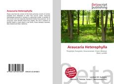 Couverture de Araucaria Heterophylla