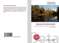 Araucaria Columnaris的封面