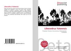 Libocedrus Yateensis的封面