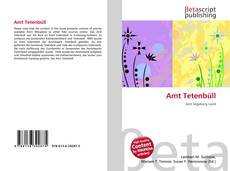 Capa do livro de Amt Tetenbüll 