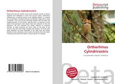Copertina di Orthorhinus Cylindrirostris