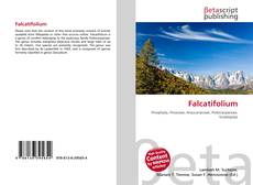 Capa do livro de Falcatifolium 