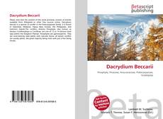 Copertina di Dacrydium Beccarii