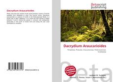 Copertina di Dacrydium Araucarioides