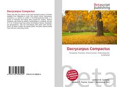 Copertina di Dacrycarpus Compactus