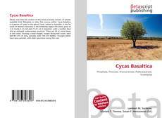 Copertina di Cycas Basaltica