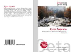 Copertina di Cycas Angulata