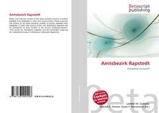 Couverture de Amtsbezirk Rapstedt