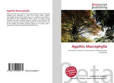 Copertina di Agathis Macrophylla