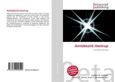 Buchcover von Amtsbezirk Hostrup