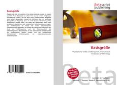 Basisgröße的封面