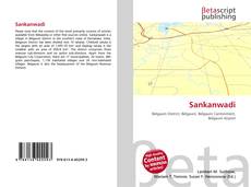 Copertina di Sankanwadi