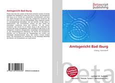 Copertina di Amtsgericht Bad Iburg