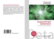 Copertina di Amtsgericht Bad Gandersheim