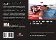 Buchcover von Synergie du létrozole et de la crocine