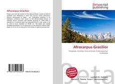 Buchcover von Afrocarpus Gracilior