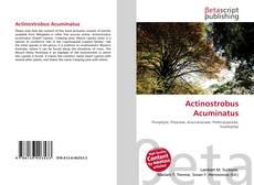 Buchcover von Actinostrobus Acuminatus