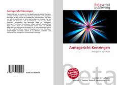 Couverture de Amtsgericht Kenzingen