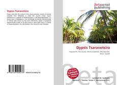 Couverture de Dypsis Tsaravotsira