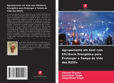 Capa do livro de Agrupamento em Anel com Eficiência Energética para Prolongar o Tempo de Vida das RSSFs 