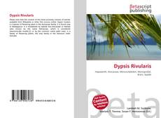 Capa do livro de Dypsis Rivularis 