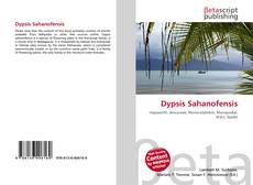 Capa do livro de Dypsis Sahanofensis 