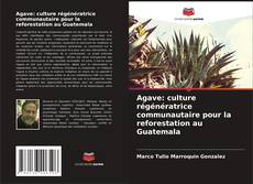 Bookcover of Agave: culture régénératrice communautaire pour la reforestation au Guatemala