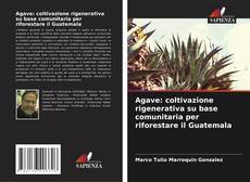 Buchcover von Agave: coltivazione rigenerativa su base comunitaria per riforestare il Guatemala