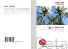 Capa do livro de Dypsis Paludosa 