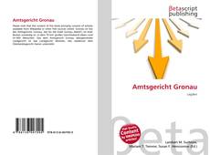 Capa do livro de Amtsgericht Gronau 