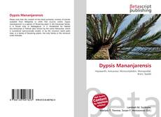 Capa do livro de Dypsis Mananjarensis 