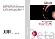 Couverture de Amtsgericht Dippoldiswalde