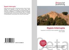 Capa do livro de Dypsis Interrupta 