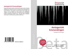 Capa do livro de Amtsgericht Emmendingen 