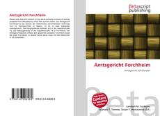 Capa do livro de Amtsgericht Forchheim 