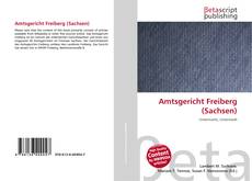 Amtsgericht Freiberg (Sachsen) kitap kapağı
