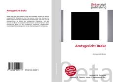 Amtsgericht Brake ' kitap kapağı