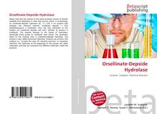 Couverture de Orsellinate-Depside Hydrolase