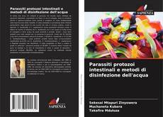 Parassiti protozoi intestinali e metodi di disinfezione dell'acqua kitap kapağı
