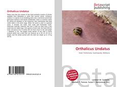 Buchcover von Orthalicus Undatus