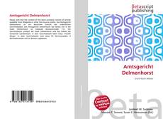 Capa do livro de Amtsgericht Delmenhorst 