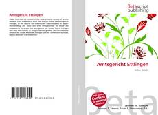 Buchcover von Amtsgericht Ettlingen