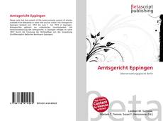 Capa do livro de Amtsgericht Eppingen 