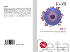 EZH2的封面