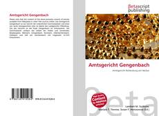 Capa do livro de Amtsgericht Gengenbach 