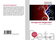 Copertina di Amtsgericht Deggendorf